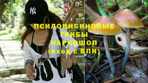 spice Алзамай