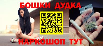 индика Новодвинск