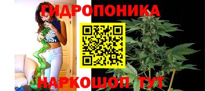 винт Новозыбков