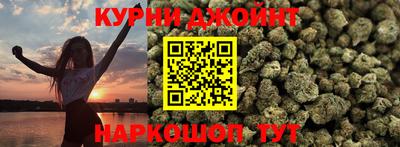 индика Новодвинск