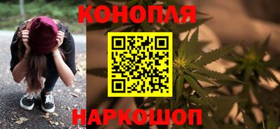 индика Новодвинск