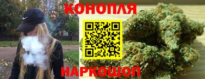 винт Новозыбков