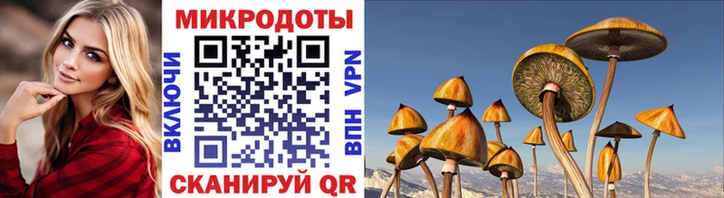 Псилоцибиновые грибы прущие грибы  Ростов-на-Дону 