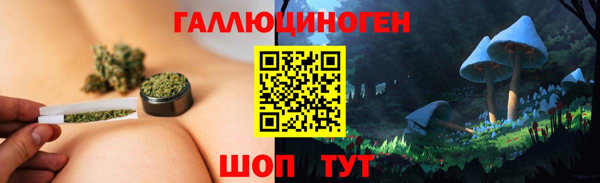 Галлюциногенные грибы Psilocybine cubensis Ростов-на-Дону
